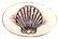 Nantucket Shell